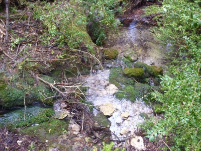 Fuente de la Cueva del Humoso - imagen 5
