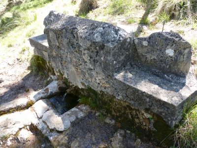 Fuente de la Dehesa - imagen 1