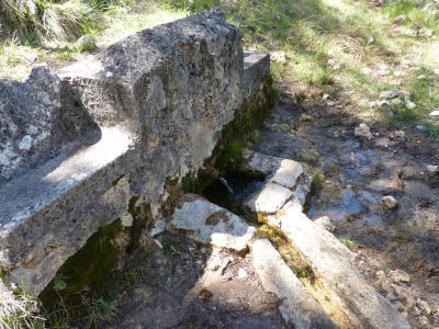 Fuente de la Dehesa - imagen 2