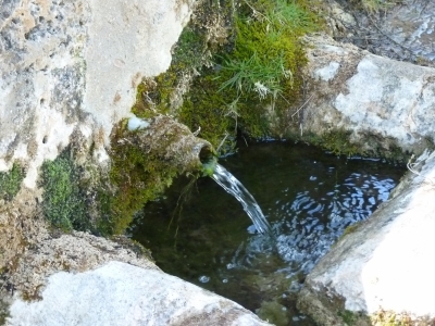 Fuente de la Dehesa - imagen 3