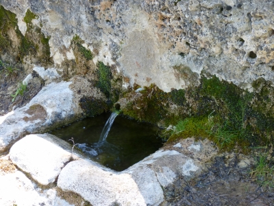 Fuente de la Dehesa - imagen 4