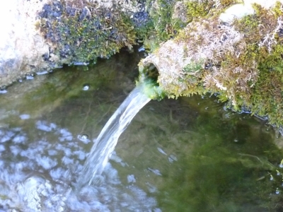 Fuente de la Dehesa - imagen 5