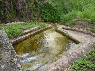 Fuente de las Entrecallejas - imagen 2