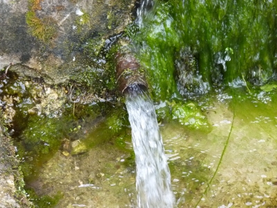 Fuente de las Entrecallejas - imagen 6