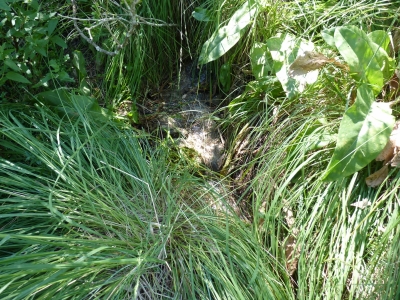 Fuente del Estanque la Toba - imagen 1