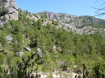 Fuente del Estanque la Toba - imagen 4