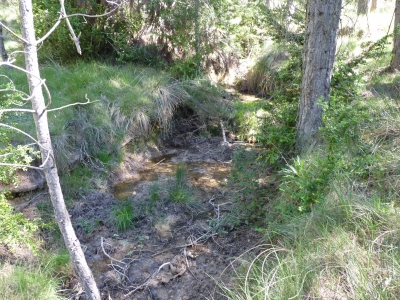 Fuente del Estrecho de Ruyarejo - imagen 2