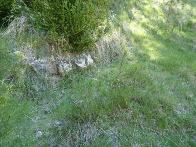 Fuente del Estrecho de Ruyarejo - imagen 4