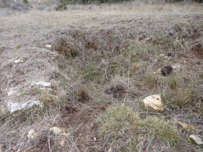 Fontarrón de Minguillo - imagen 1
