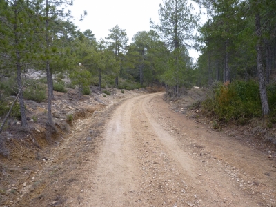 El Fontarrón - imagen 3