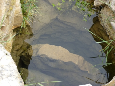 Las Fuentecillas - imagen 5