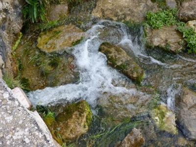 Fuente Grande - imagen 4