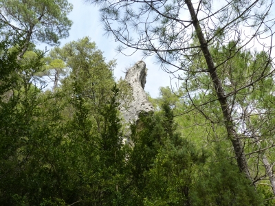 Fuente de la  Hocecilla - imagen 6