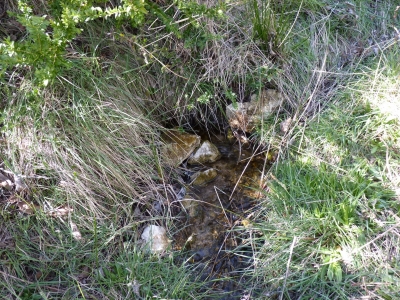 Fuente del Hocino II - imagen 2