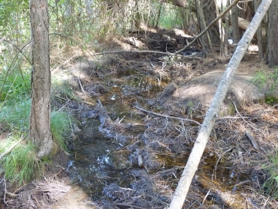 Fuente del Horcajo - imagen 2