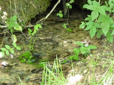 Fuente de los Huertos - imagen 4