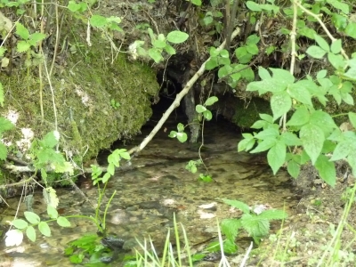 Fuente de los Huertos - imagen 5