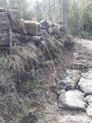 Fuente Marimingo - imagen 3