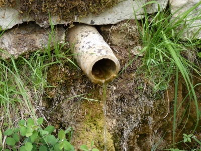 Fuente Marimingo - imagen 7