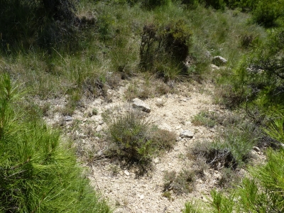 Fuente del Moro - imagen 4