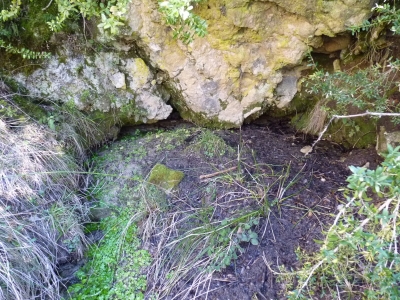 Fuente del Mostajo - imagen 2