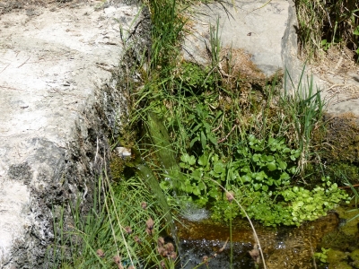 Fuente de las Mujeres - imagen 2
