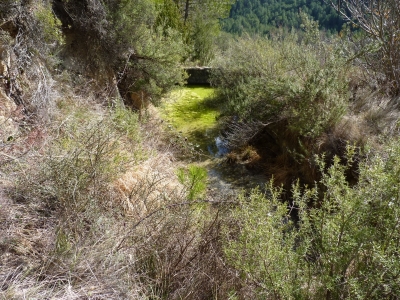 Fuente de Pedro - imagen 1