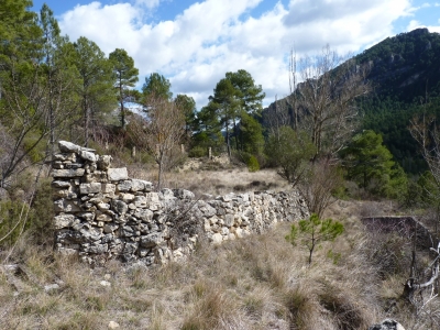 Fuente de Pedro - imagen 6