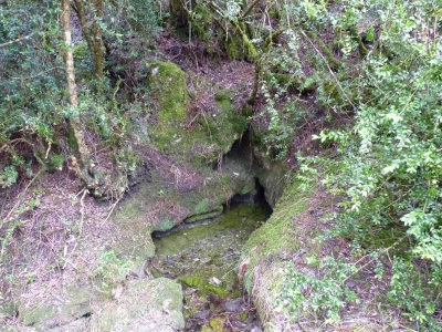 Fuente del Perro - imagen 3