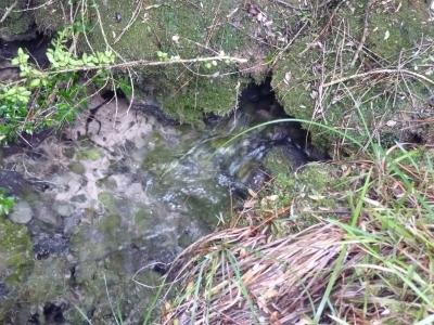 Fuente del Perro - imagen 4