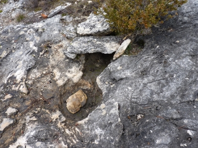 Fuente Pico - imagen 2