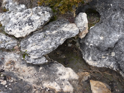 Fuente Pico - imagen 3