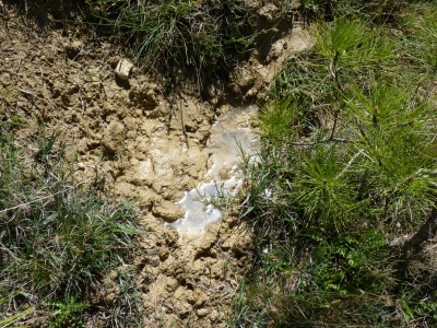 Fuente del Pino - imagen 2