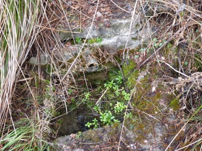 Fuente de Pozorrubio - imagen 1