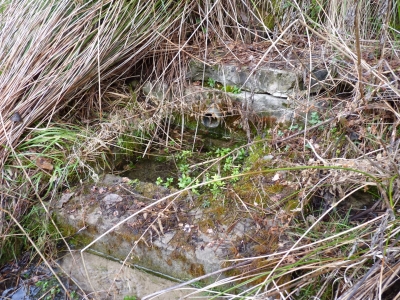 Fuente de Pozorrubio - imagen 2