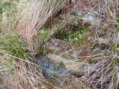 Fuente de Pozorrubio - imagen 4
