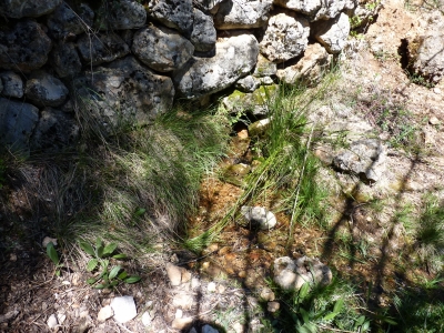 Fuente del Rincón del Cañízar I - imagen 1