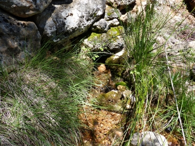 Fuente del Rincón del Cañízar I - imagen 2
