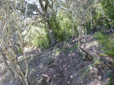 Fuente del Rincón del Cañízar I - imagen 5