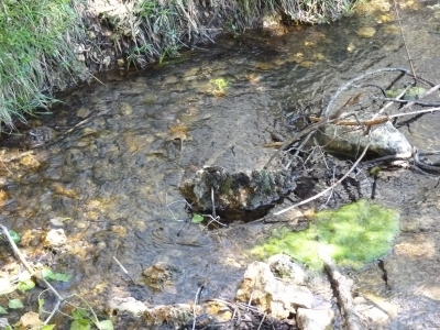 Fuente del Rincón del Cañizar II - imagen 1