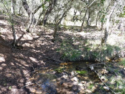Fuente del Rincón del Cañizar II - imagen 2