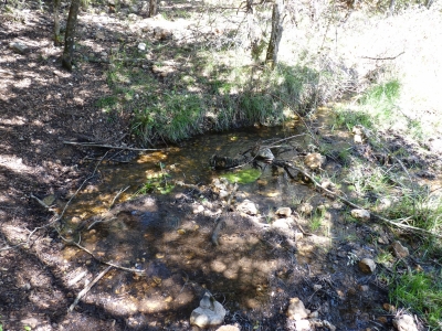 Fuente del Rincón del Cañizar II - imagen 3