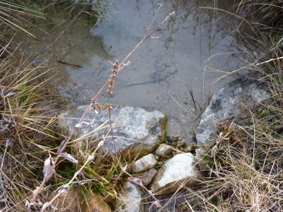 Fuente de Reuí la Calera II - imagen 2