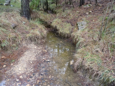 Fuente de Ruy Pinar - imagen 4