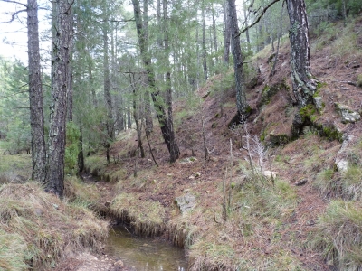 Fuente de Ruy Pinar - imagen 6