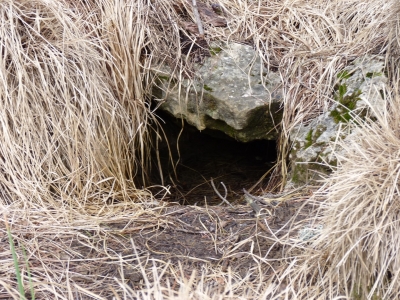 Fuente de la Sima Corva - imagen 2