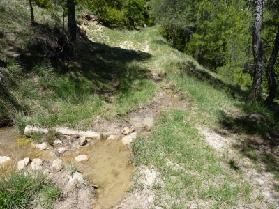 Sin nombre 16052019-1 - imagen 5