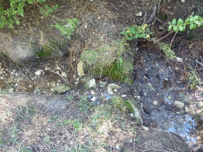 Fuente del Sotarraño - imagen 3