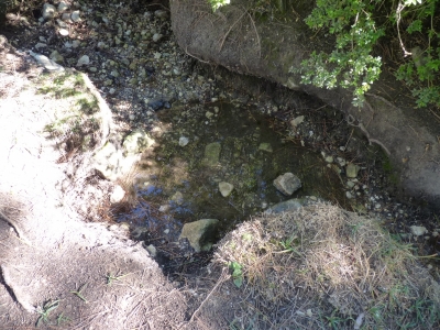 Fuente del Sotarraño - imagen 4