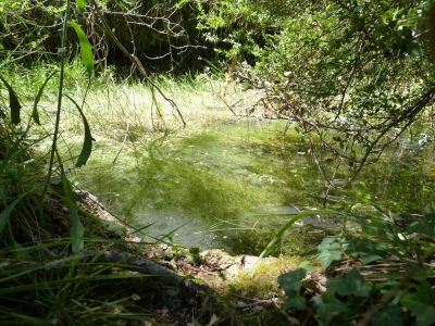 Fuente de las Tejedas I - imagen 3